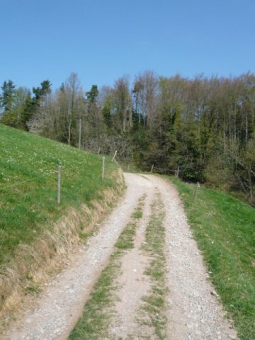 P1020857