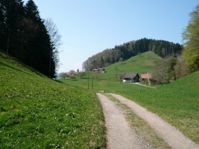 P1020858
