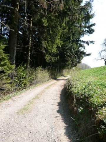 P1020859
