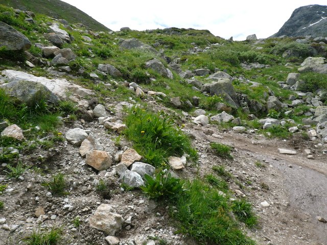 p1030941