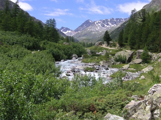 pict0120