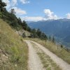 img_1869