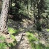 img_1876