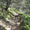 img_1878