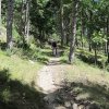 img_1884