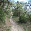 img_1899