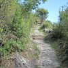 img_1904