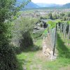 img_1905