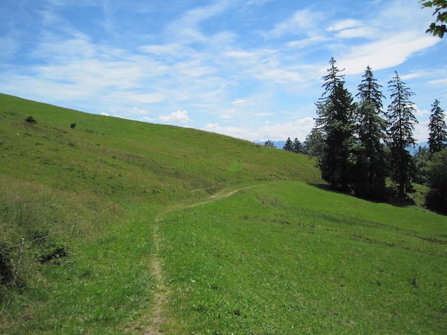 img_2143