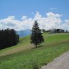 img_2156