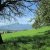 Rheintaler Rundtour