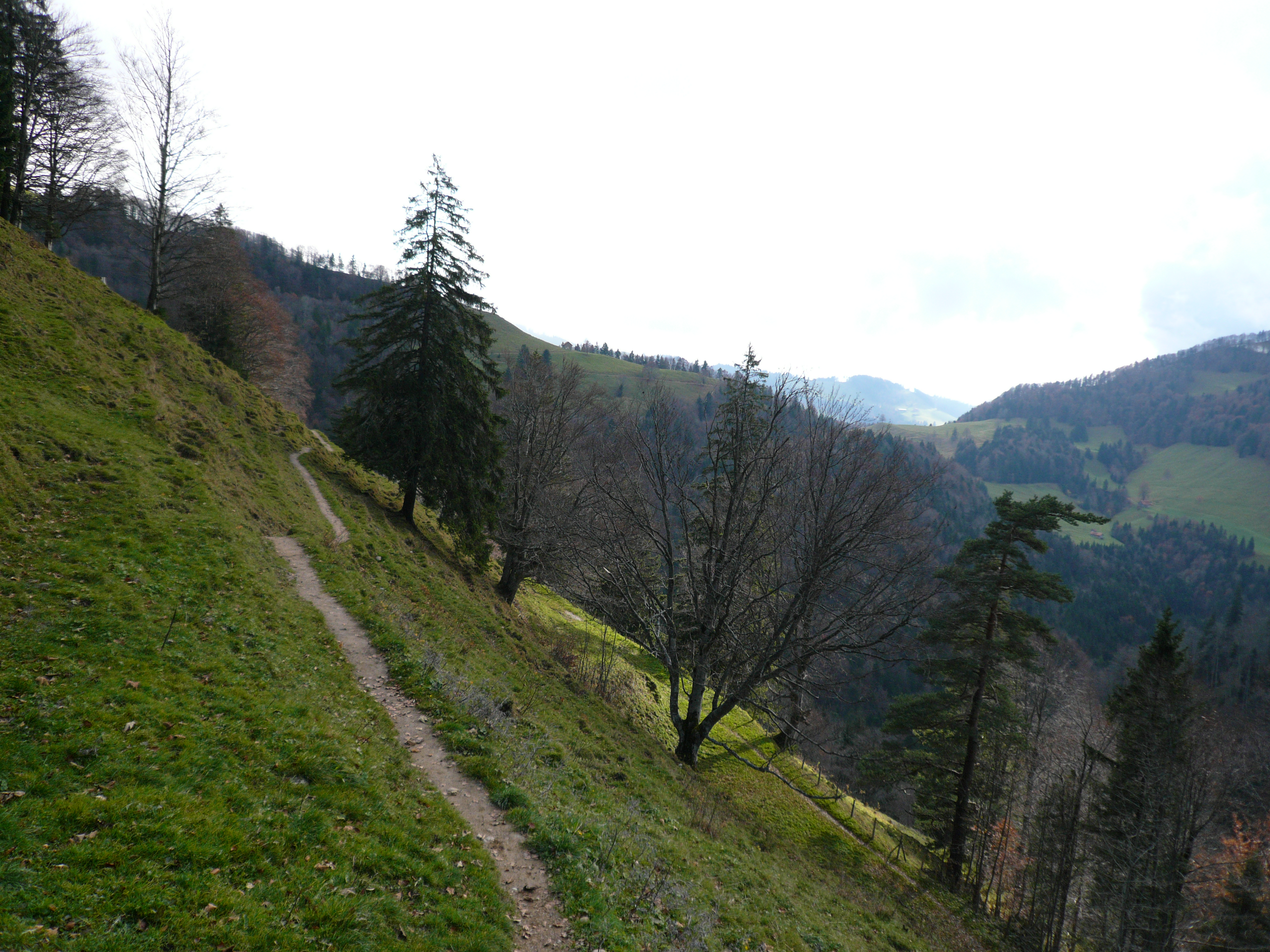 Trail in der Region Schnebelhorn