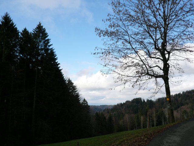 p1030358