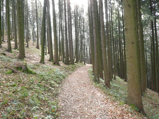 p1030359
