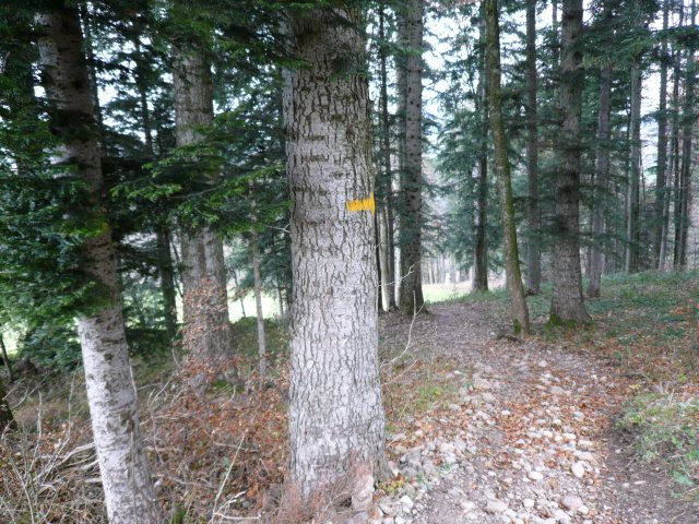 p1030361