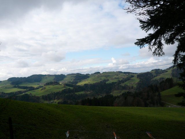 p1030362