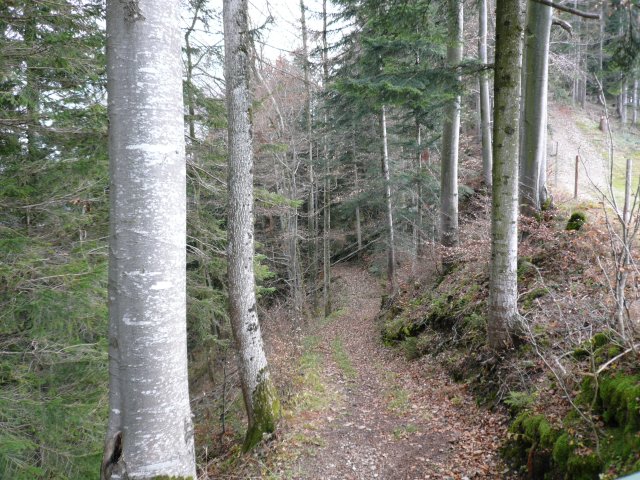 p1030365