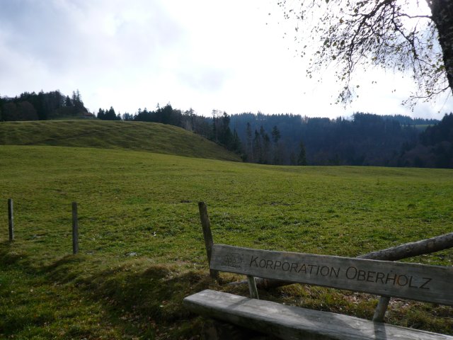 p1030366