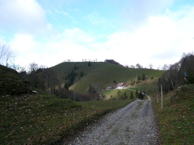 p1030371