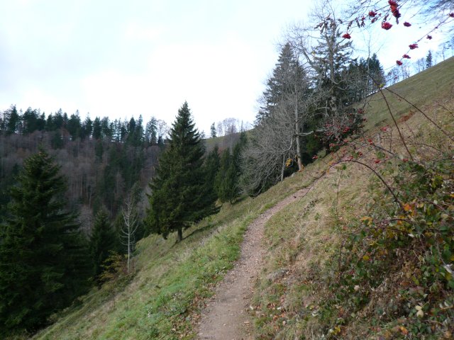 p1030373