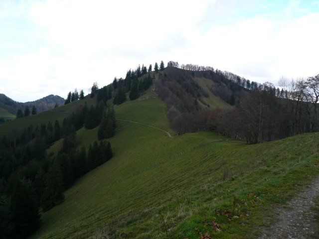 p1030374