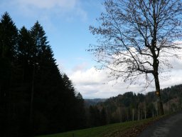 p1030358
