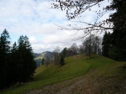 p1030364