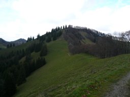 p1030374