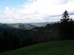p1030376