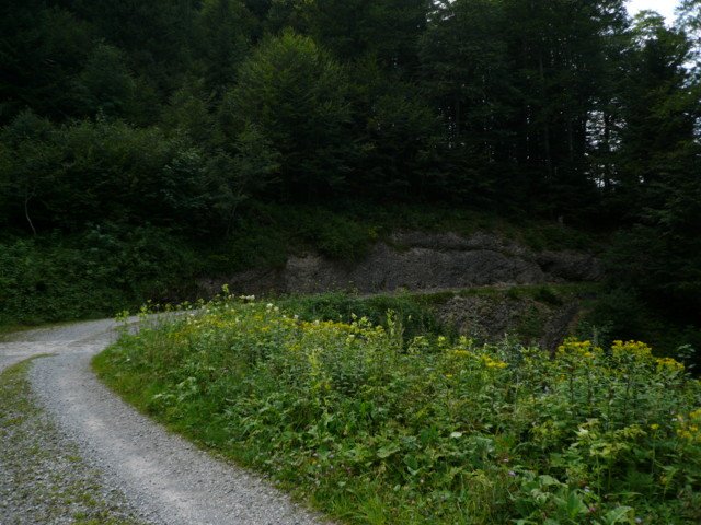 p1020978