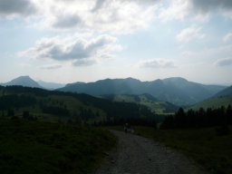 p1020976