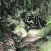img_2250