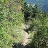 img_2262