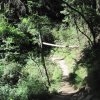 img_2265