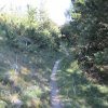img_2266