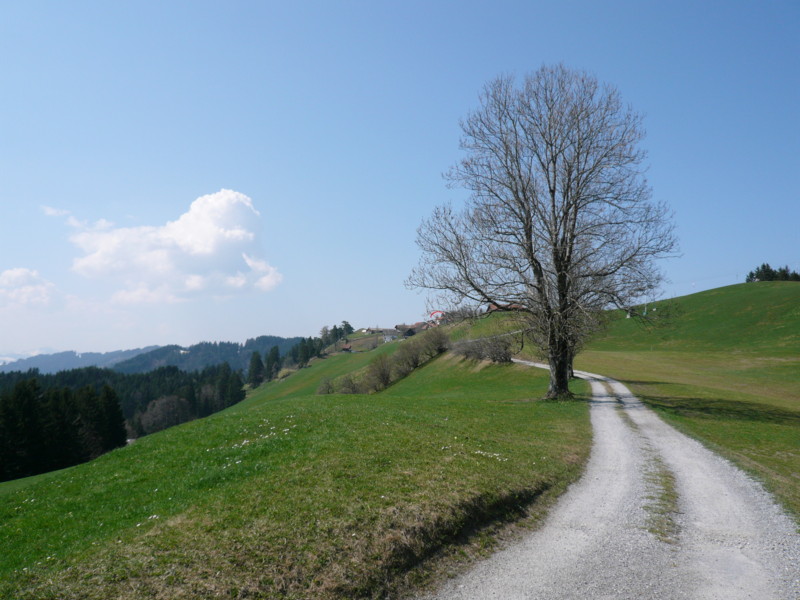 Weg Richtung Sankt Anton