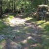 img_1833