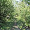 img_1834