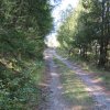 img_1849