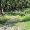 img_1862