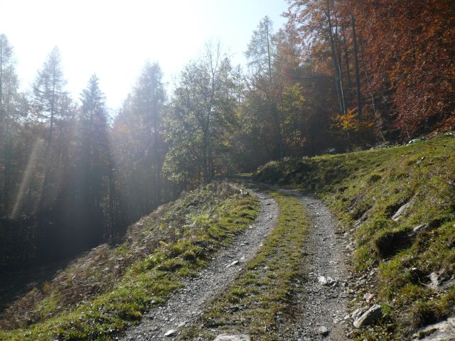 p1030337
