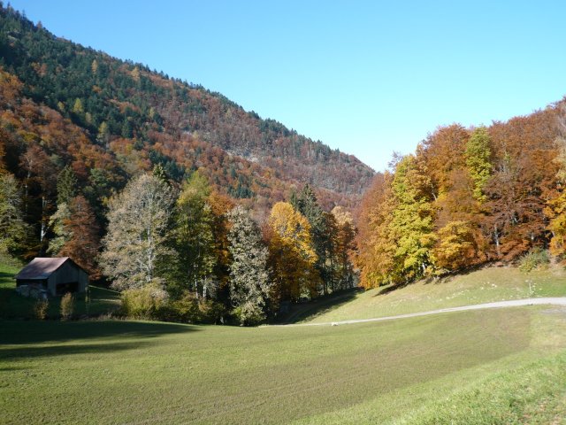 p1030338