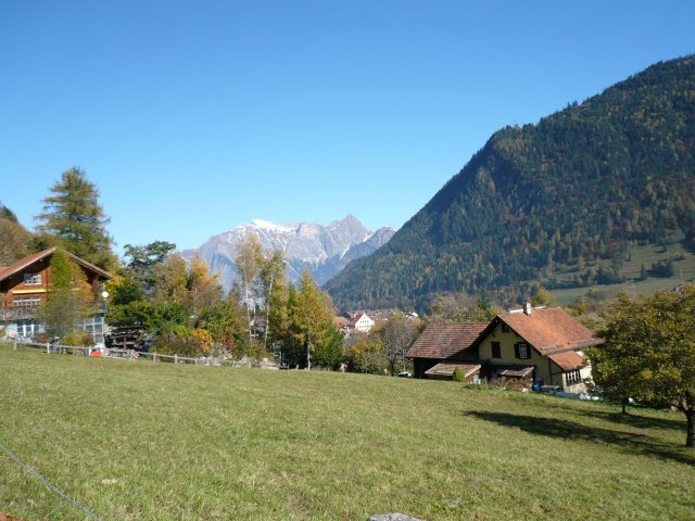 p1030339