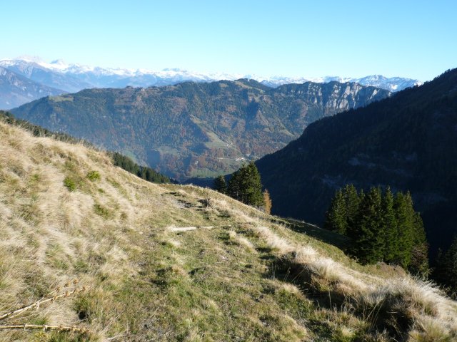 p1030347