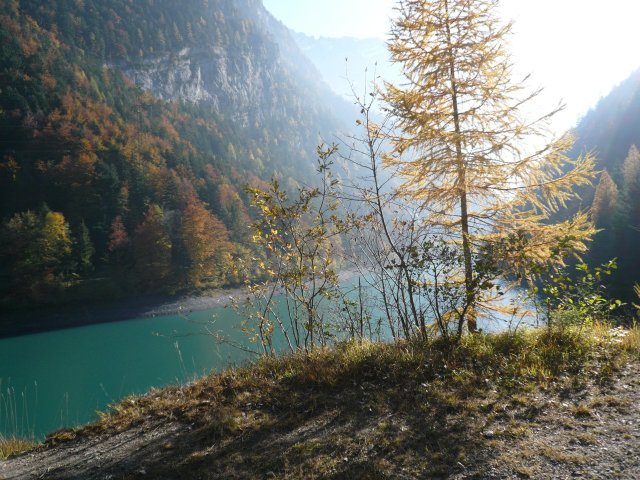 p1030352