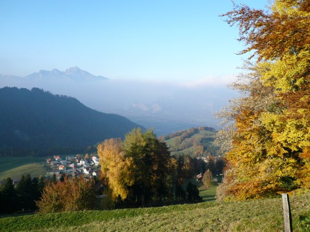 p1030354