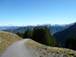 p1030343